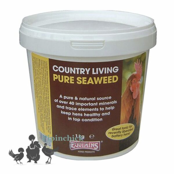 Equimins Pure Seaweed Supplement 1kg