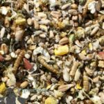 Forager Peck Stop Treat Mix
