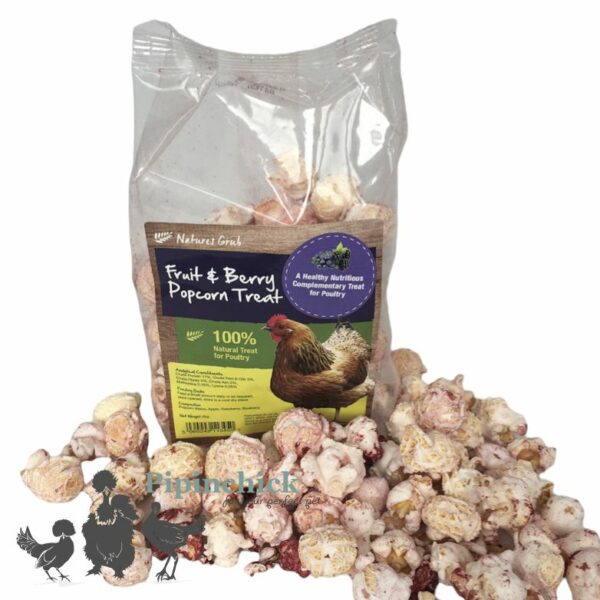 Natures Grub Popcorn Treat For Chicken 20gm Fruit & Berry
