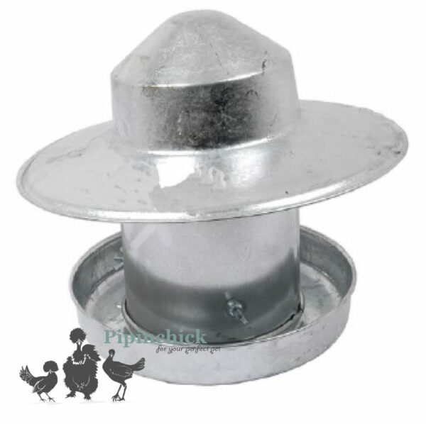 Galvanised Small Poultry Feeder With Hat