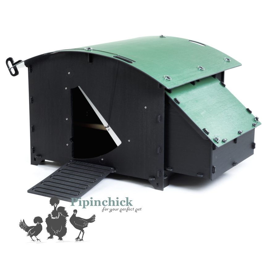 Green Frog Large Chicken Coup