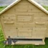 Large Wooden Chicken Coop & Run 4-10 Hens
