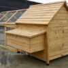 Medium Wooden Chicken Coop & Run 4-9 Hens