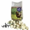 Natures Grub Popcorn Treat For Chicken 20gm Garlic & Herb