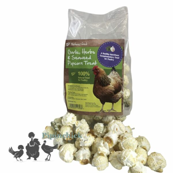 Natures Grub Popcorn Treat For Chicken 20gm Garlic & Herb