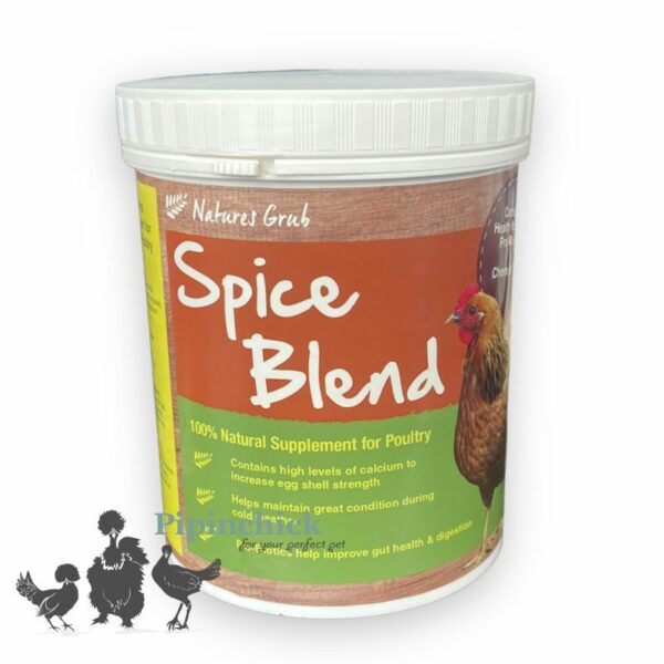 Natures Grub Spice Blend 500gm