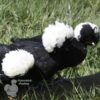 Bantam Polish Chicken Black