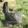 The Garden Bantams Flock