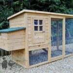 Starter Wooden Hen House & Run 2-4 Hens