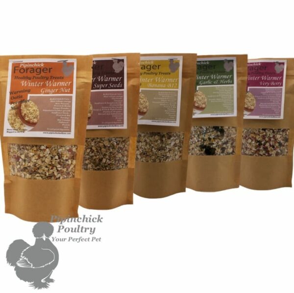 Forager Winter Warmer Selection Porridge Pack