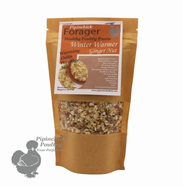 Forager Winter Warmer Ginger Nut