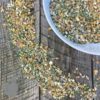 Forager Afternoon T Treat Mix