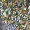 Forager Afternoon T Treat Mix