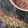 Forager Layers Aid Calcium Boost Treat Mix