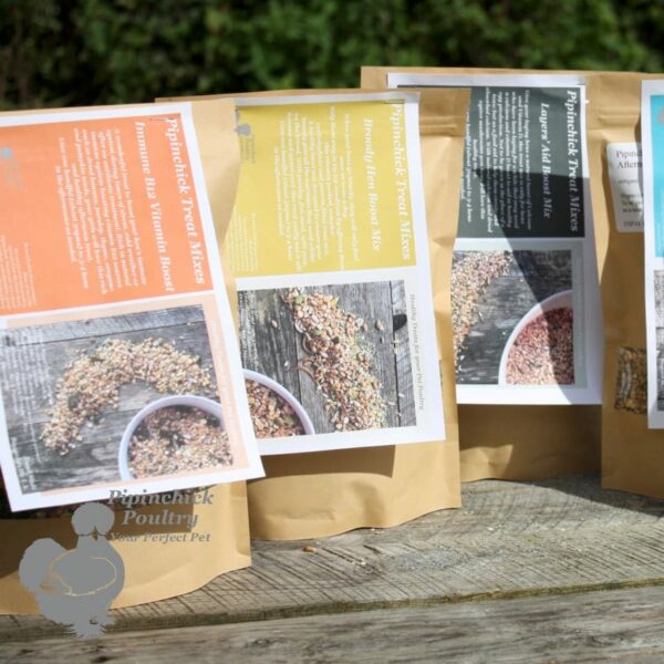 Forager Broody Hen Treat Mix