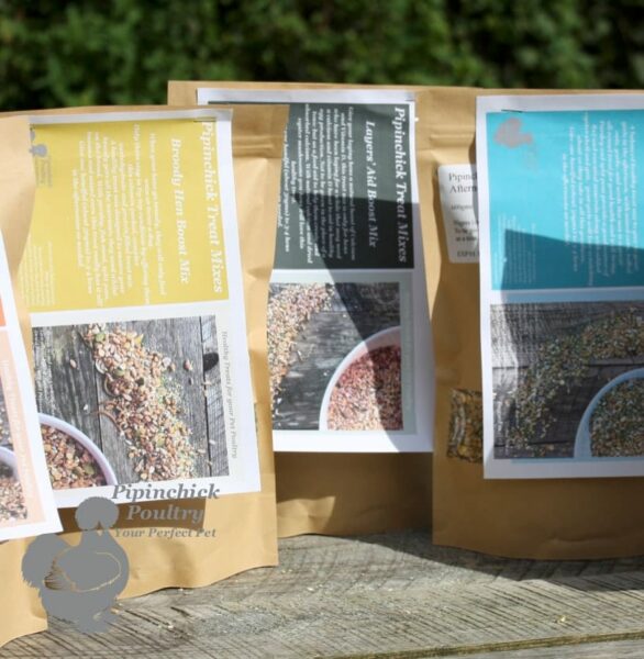 Forager Layers Aid Calcium Boost Treat Mix