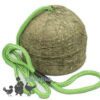 Silvermoor Alfalfa Swinger Peck Block String