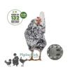 Beezteez Chicken Treat Ball Roller
