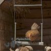 Beezteez Chicken Swing