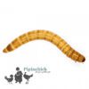 Live Mealworms 60gm/500gm