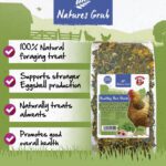 Natures Grub Healthy Hen Herbs 200gm