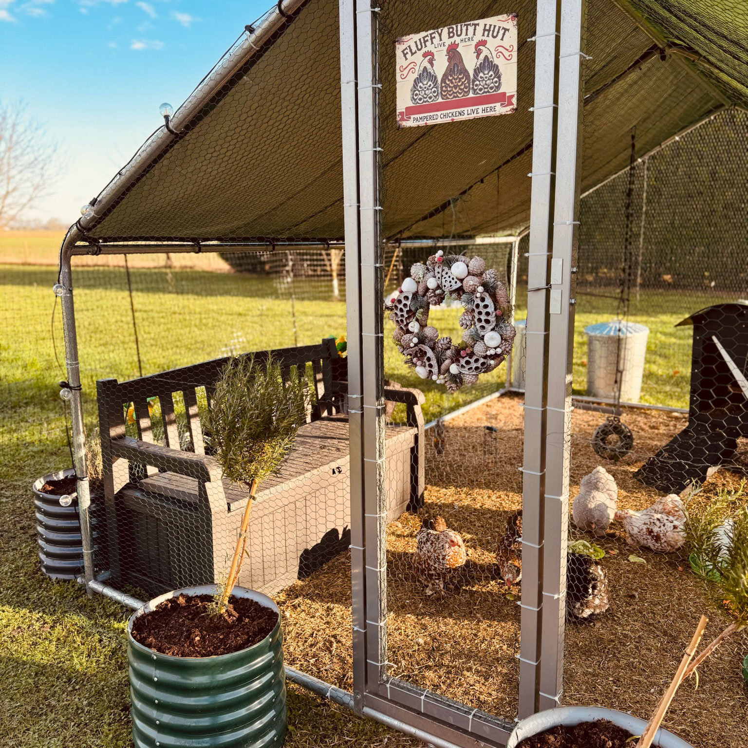 keep chickens warm in winter