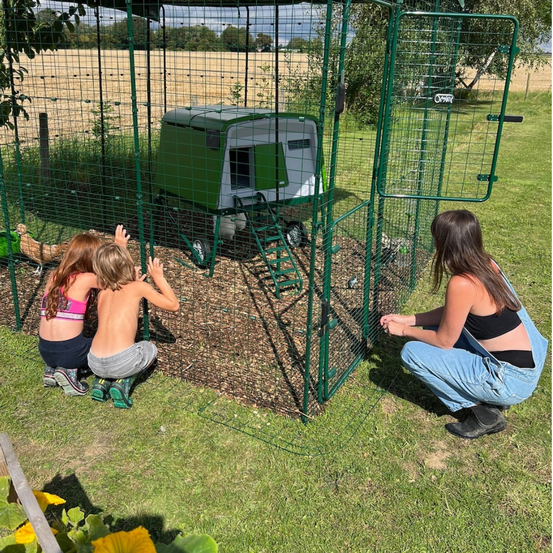 children and chickens