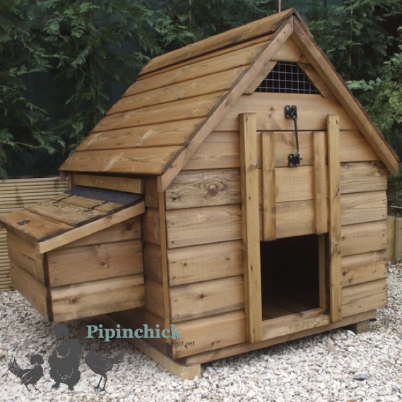 Deluxe Windsor Poultry House 2 to 6 hens
