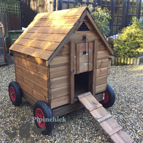 Deluxe Windsor Poultry House 2 to 6 hens