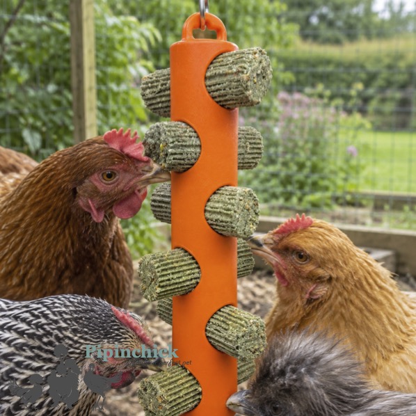 Hentastic Herby Chick Stick Feeder