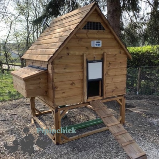 Deluxe Sandringham Poultry House 8 to 12 hens